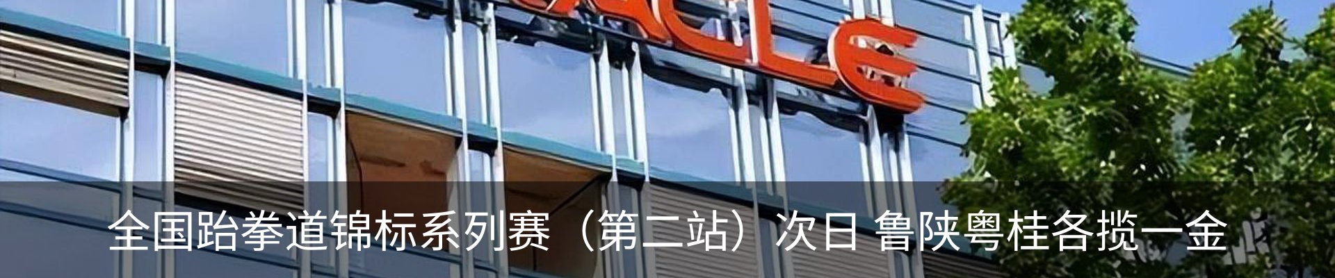 新闻动态