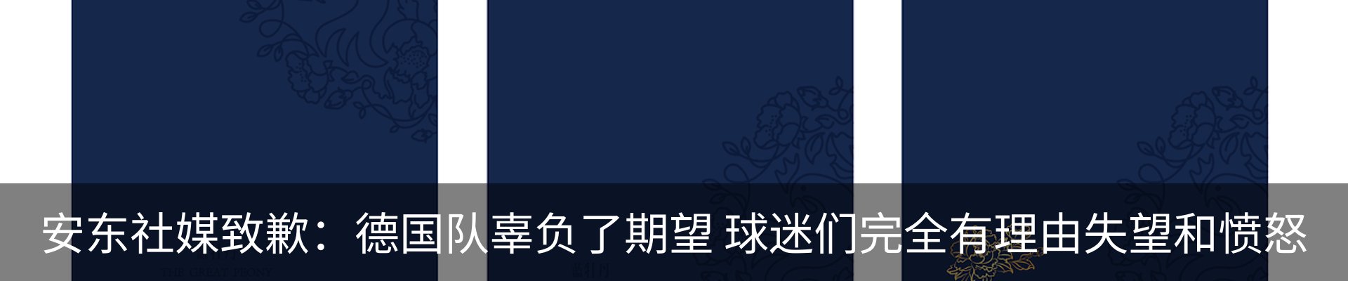 新闻动态