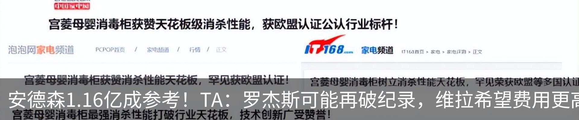 新闻动态