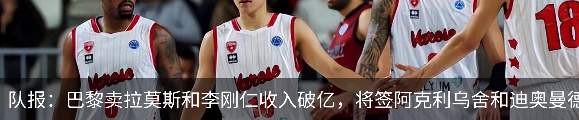 新闻动态